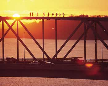 Auckland Airport Hire Car Activities - Harbour Bridge Climb