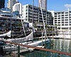 Auckland Hire Car Attractions - Viaduct Harbour