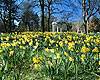 Christchurch Attractions - Gardens