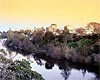 Hamilton Attractions - Waikato River