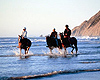 Napier Attractions - Central Hawke's Bay Beach