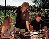 Napier Attractions - Hawke's Bay Vineyards