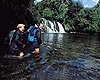 Napier Attractions - Hawke's Bay Wilderness