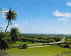 Palmerston North Attractions - Spectacular Views