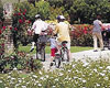 Palmerston North Attractions - Victoria Esplanade