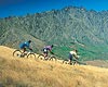 Queenstown Activities - Mountain Biking