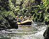 Rotorua Attractions - Kaituna River