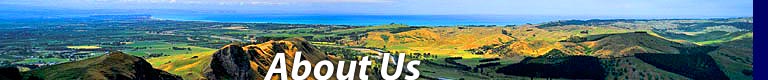 About Us