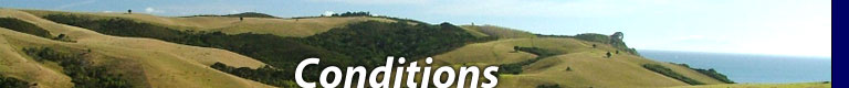 Conditions