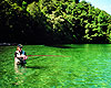 Taupo Attractions - Fly Fishing At Lake Taupo