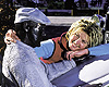 Tauranga Attractions - Katikati Art and Sculpture