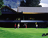Tauranga Attractions - Mt Maunganui Golf