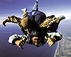 Tauranga Attractions - Skydiving
