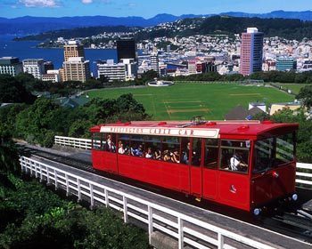 Rent a car wellington location