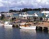 Whangarei Attractions - Town Basin Marina