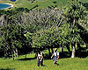 Whitianga Car Rentals - Port Jackson