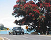 Whitianga Car Rentals - Thames Coast Road