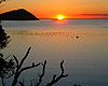 Whitianga Car Rentals - Mussel Farms