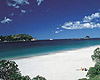 Whitianga Car Rentals - Hahei Beach