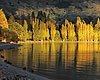 New Zealand Attractions - Lake Wanaka