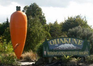 Ohakune Giant Carrot Sculpture
