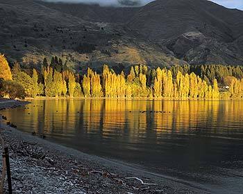 Southern Lakes Rental Car Travel Itinerary lake wanaka - Southern Lakes Rental Car Travel Itinerary