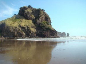 Lion Rock At Piha Beach