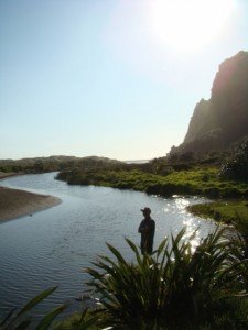 Karekare Stream - Beach Entrance