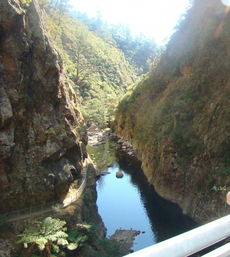 Ohinemuri River Walk Ohinemuri River Walk