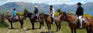 Walter Peak Horse Trek