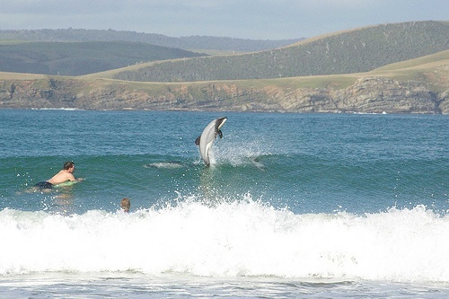 Surfing Curio Bay The Catlins