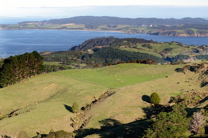 Matakana, Mathesons Bay