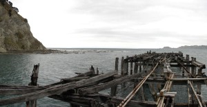 The concrete section of the wharf is still reasonably sound, but the wooden dogleg is well past it.  Many of the wooden pilings actually wave about in the tide.