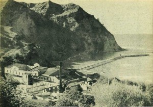 The freezing works complex was shut down in 1952.  In this photo, c.1960, the buildings have already been partially dismantled.