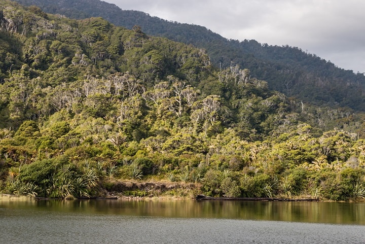 Heaphy River At Kahurangi National Park In New Zealand