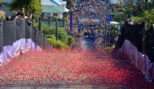 Jaffas cascade down Baldwin Street, Dunedin. Photo: Gerard O'Brien