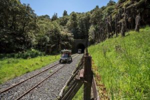 Forgotten World Adventures rail carts trundle through the Tangarakau Gorge.