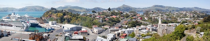 Port Chalmers Cruise Ships