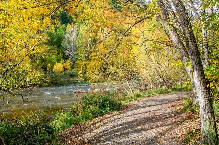 Arrowtown In Autumn