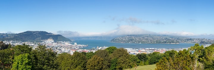 Panoramic Landscape Otago Bay, Dunedin