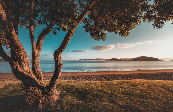 Paihia