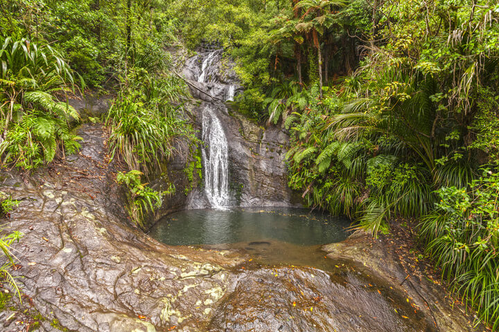 Waitakere Ranges