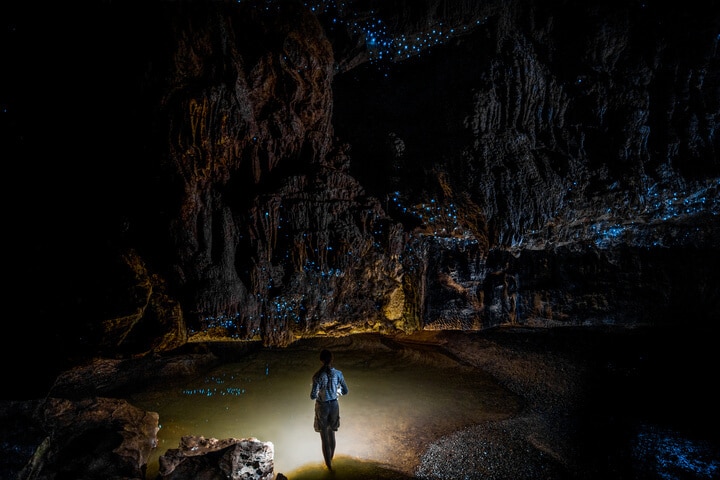 Waitomo Caves