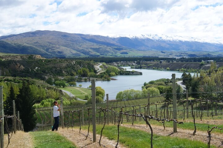 Queenstown Rental Car Travel Itinerary cromwell vineyards - Queenstown Rental Car Travel Itinerary