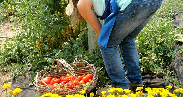 Farm Produce