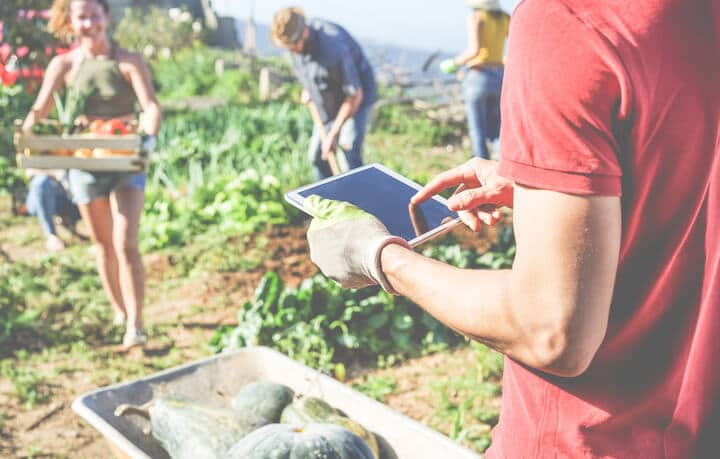 Helping On Farm