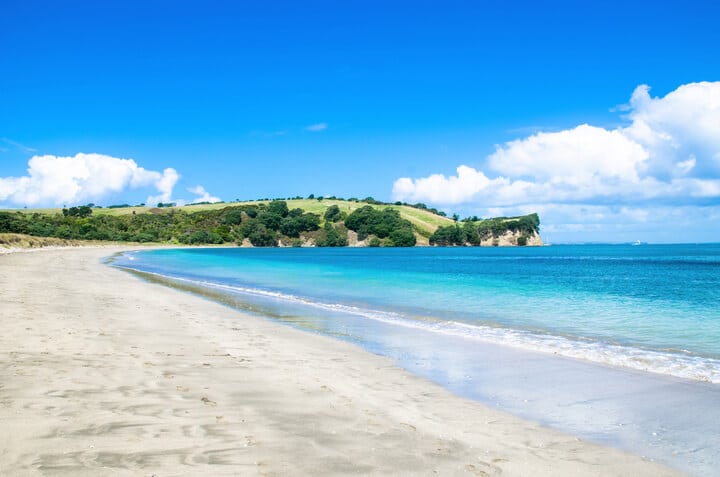 Te Haruhi Bay Shakespear Park