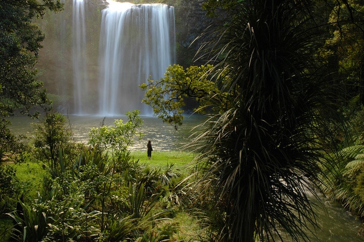 Whangarei Falls