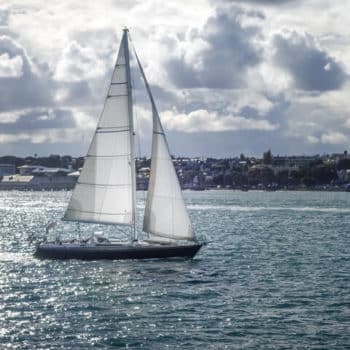 Sailing Ship, Auckland