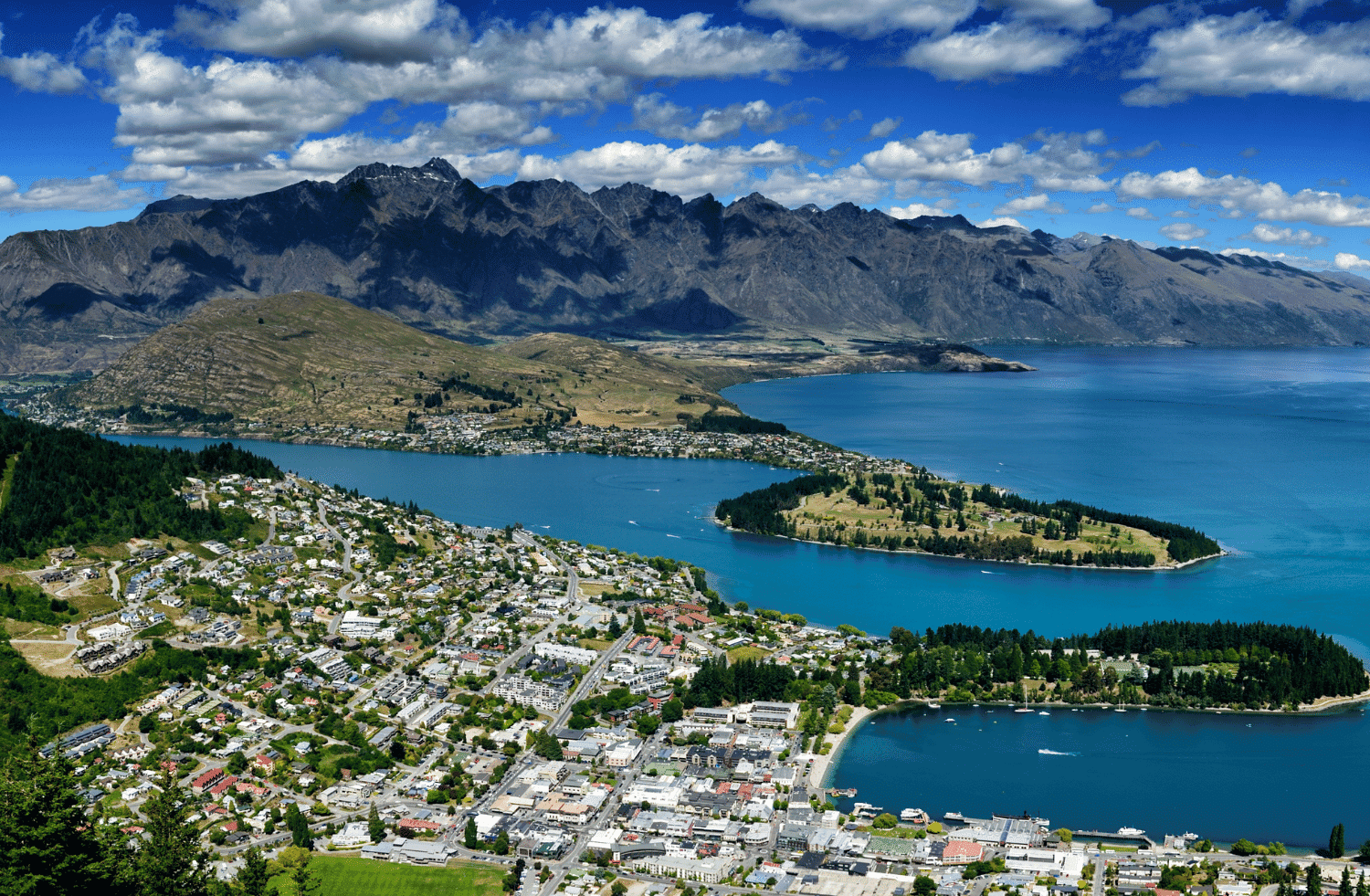 Queenstown's Culinary Journey A VanDriven Food Adventure NZ Rent A